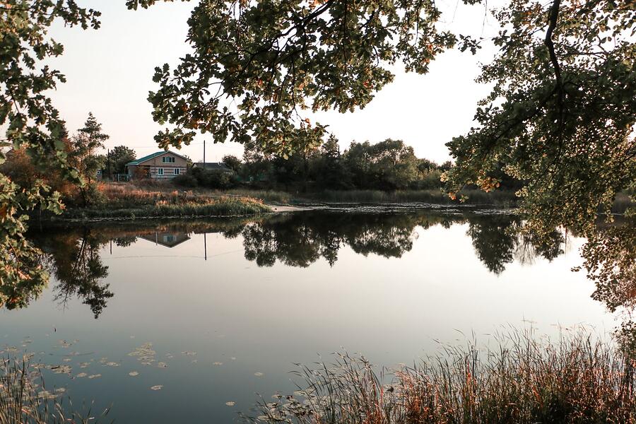 Trees mirrored in a still pond on the edge of town