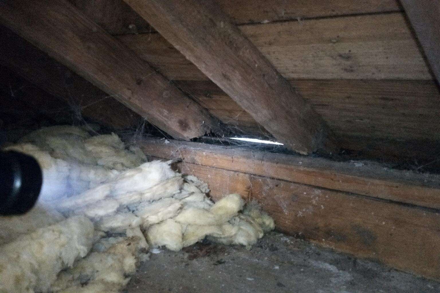 A flashlight beam on a dark attic corner where the rafters meet the wall