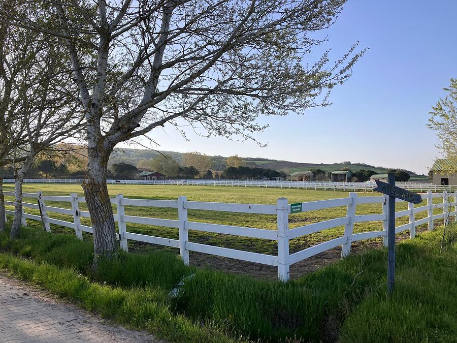 A white board fence along an open field with trees beyond