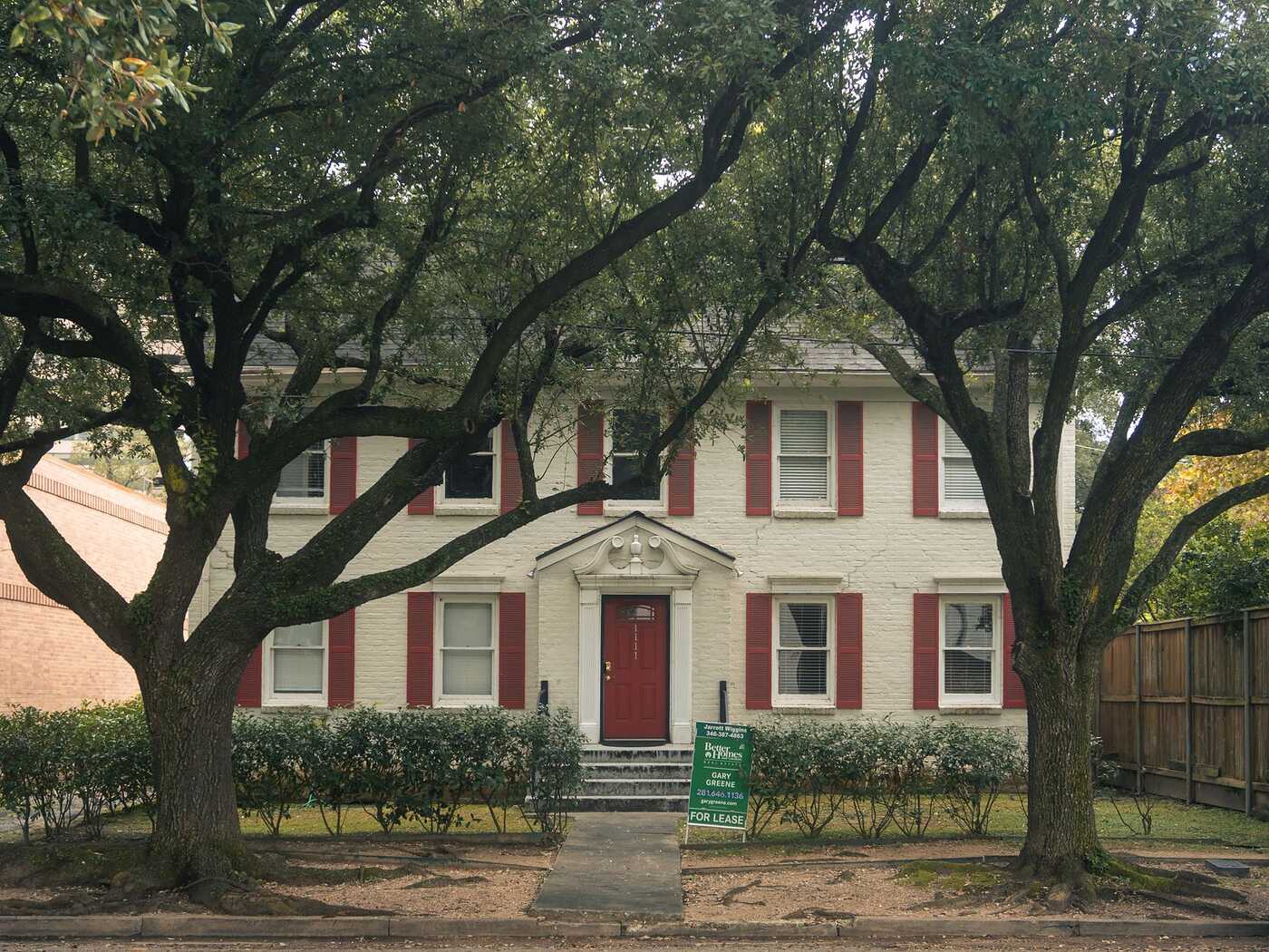 A two-story house with red shutters behind a row of mature live oaks