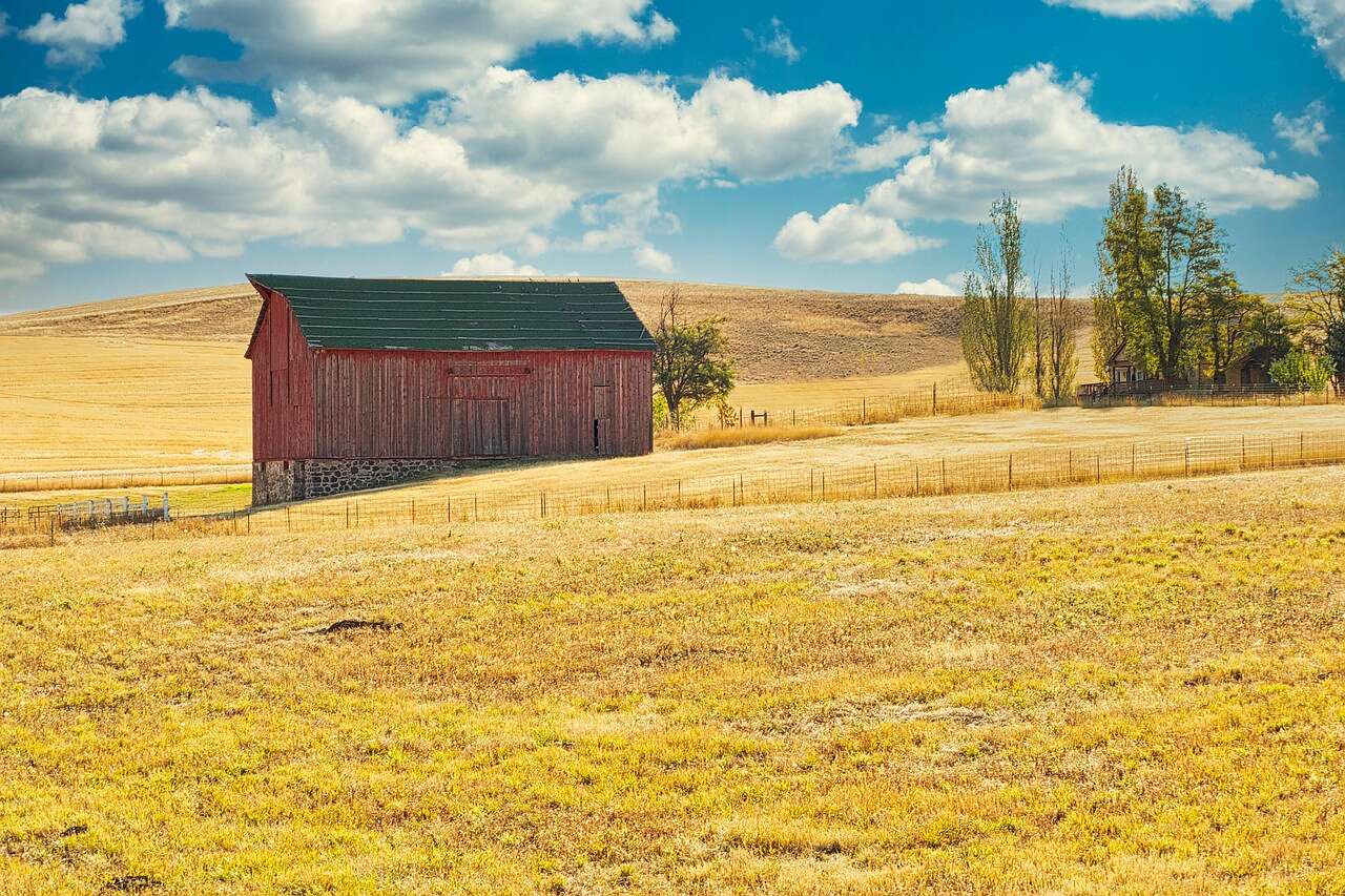 A red barn in a golden field under a big sky
